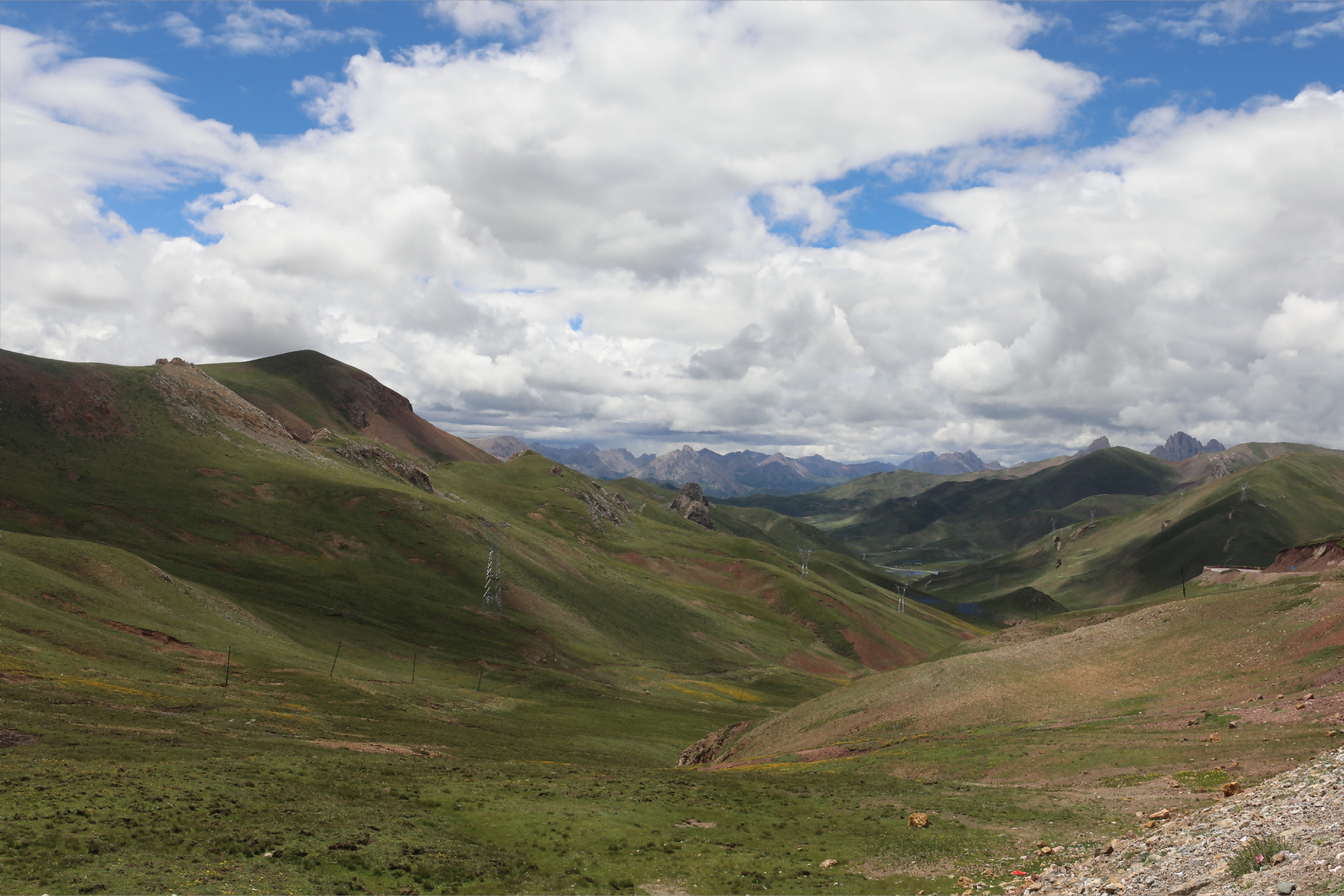 welcome海洋之神_官方网站