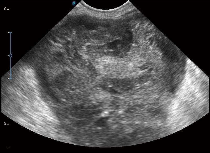 welcome海洋之神_官方网站